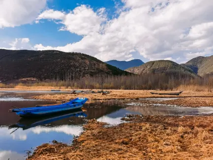 Winning Cazino Cazinou Aplicație mobilă